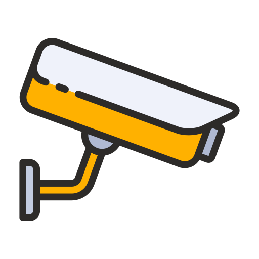 Informativa estesa videosorveglianza